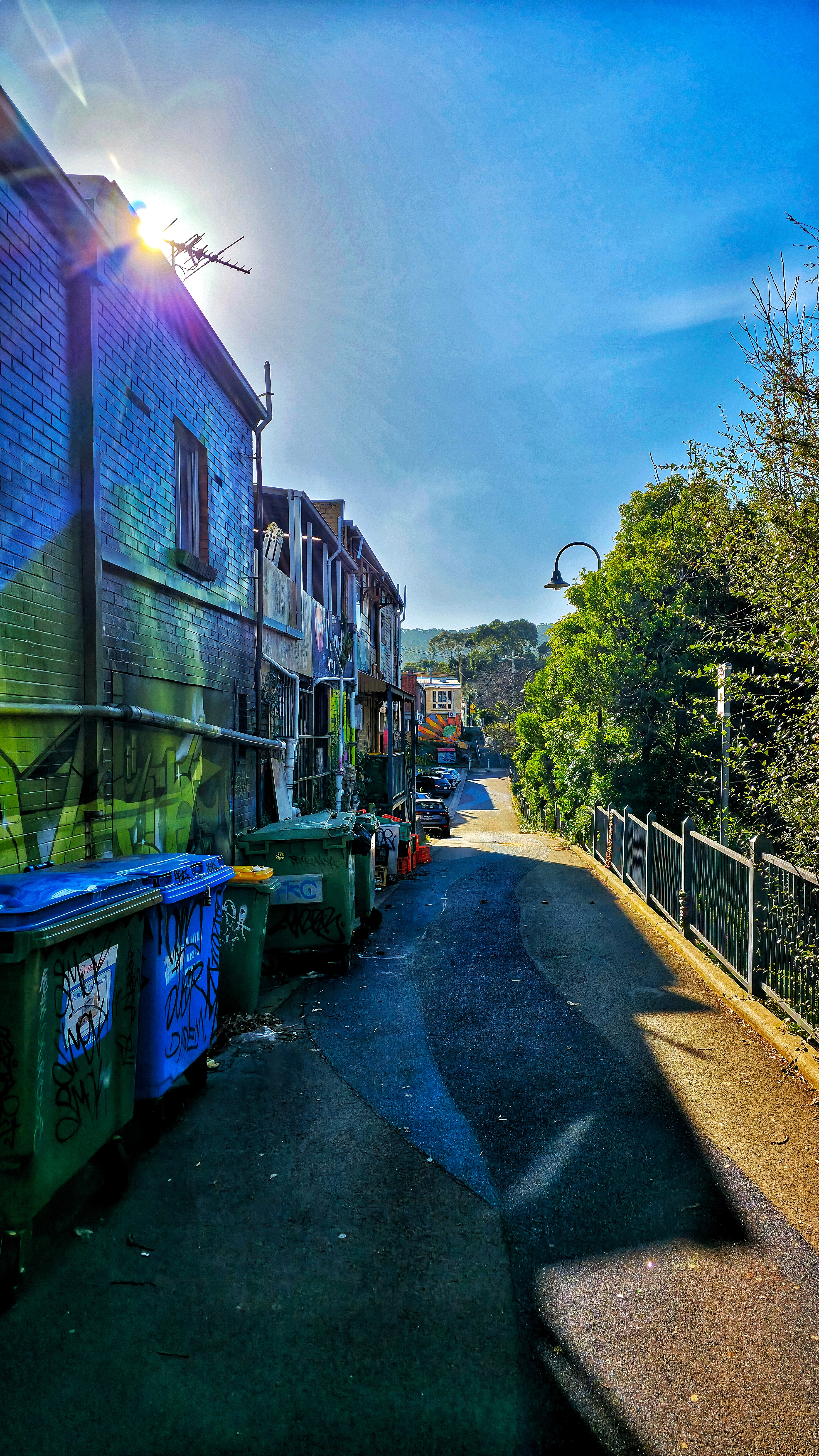 A photo of a backstreet alley with graffiti on a summers day.